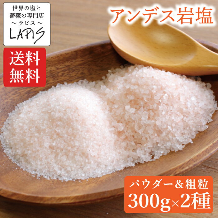 【送料無料】アンデス岩塩 300g×2種類（合計600g） パウダー 粗粒 紅塩 岩塩 お試しセット 1