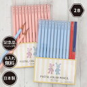 10%OFFクーポン 鉛筆 名入れ パステルカラー鉛筆 2B ブルー ピンク 赤鉛筆 赤青鉛筆 消しゴム ダース 名前入り ネーム入り 無料 えんぴつ 卒園記念 卒園記念品 卒園 卒業 入学祝い 準備 記念品 ギフト プレゼント 男の子 女の子 保育園 幼稚園 小学生 日本製