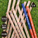 10%OFFクーポン 鉛筆 名入れ 三角ねーむ鉛筆 トロワ 2B 赤鉛筆 赤青鉛筆 三角鉛筆 三角軸 ダース 名前入り ネーム入り 無料 えんぴつ 卒園記念 卒園記念品 卒園 卒業 入学祝い 準備 記念品 ギフト プレゼント 男の子 女の子 保育園 幼稚園 小学生