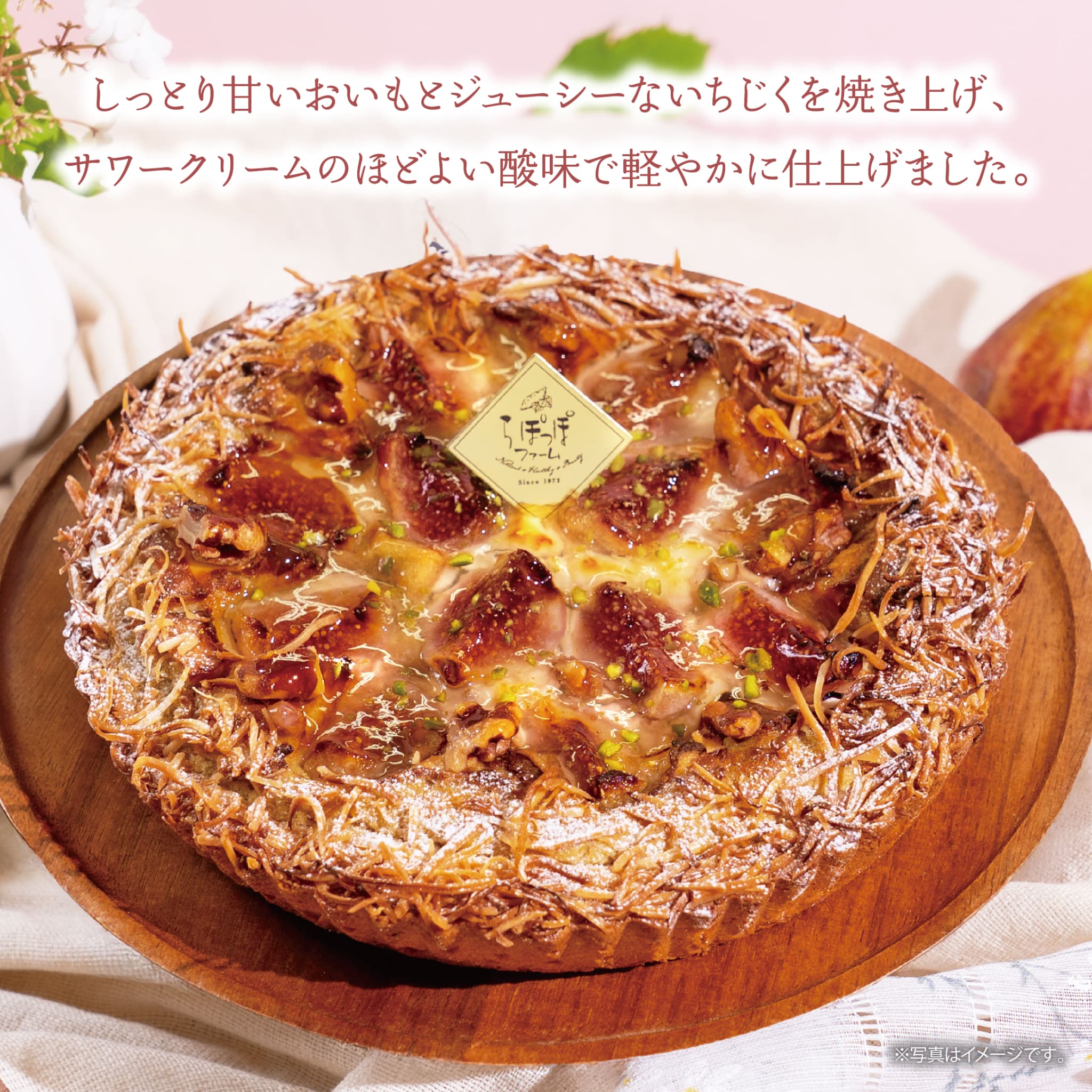 らぽっぽオンラインのらぽっぽファーム　おいもといちじくの贅沢タルト｜冷凍 おいもパイ いちじく パイ 可愛い 自然の甘み 夏ギフト 贈り物 ギフト さつまいもスイーツ ご褒美スイーツ 送料無料 芋スイーツ おいもスイーツ お菓子 さつまいも 専門店 取り寄せ 内祝｜アングル2