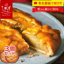 らぽっぽファーム ポテトアップルパイ3個セット| りんごパイ パイ 焼き菓子 東京駅 三千円 3000円 ホワイトデー 新生活 ギフト さつまいもスイーツ ご褒美スイーツ 送料無料 芋スイーツ おいもスイーツ お菓子 さつまいも 取り寄せ 内祝