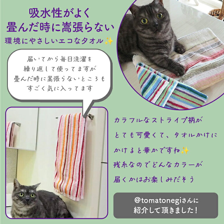 【3枚セット】【色/柄お任せ】フェイスタオル 訳あり 今治 残糸 今治製タオル 残糸タオル 残糸ストライプ 日本製 エコ 綿100% 薄手 薄い 持ち運び 軽い 速乾 吸水 国産 業務用 卸 約34x84cm laquo-10000493 Hitorito サンプル画像3
