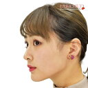 樹脂ピアス 樹脂イヤリング ドライフラワー 花 バイカラー ラウンド 丸 円 おしゃれ かわいい レディース 春 夏 秋 冬 金属アレルギー対応 ピアス イヤリ...