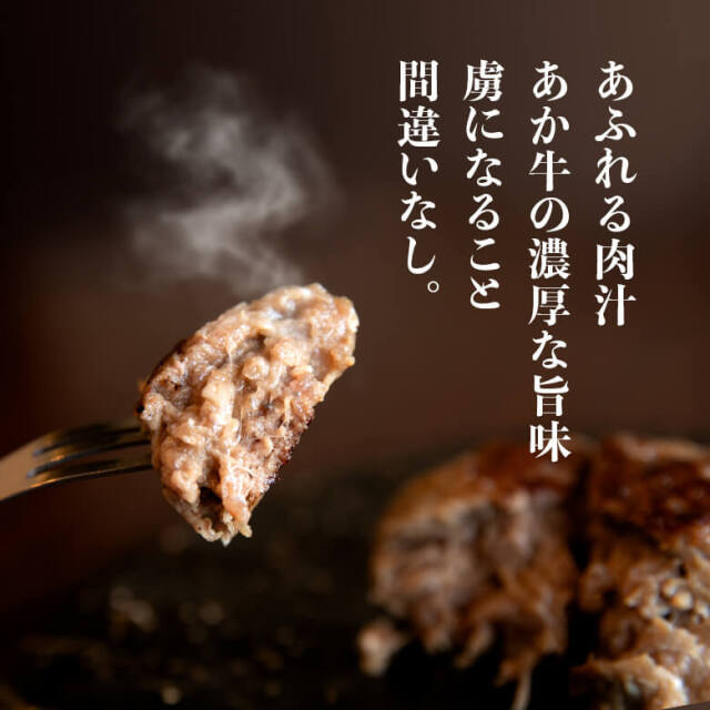 【お得な2袋セット】阿蘇あか牛ハンバーグ 10...の紹介画像2