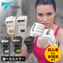 TRAN正規取扱店 オープンフィ...