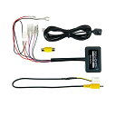 【マラソン最大46倍】データシステム(Datasystem)カメラ接続アダプター(RCA023N+AMA-02のセットパッケージ) RCA101N(2)