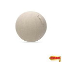 【マラソン最大46倍】エレコム バランスボール カバー 65cm 持ち運びに便利なハンドル付き ベージュ HCF-BBC65BE