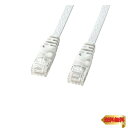 【マラソン最大46倍】サンワサプライ LANケーブル モデム用 CAT6 フラットタイプ 1Gbps/250MHz ギガビット イーサネットケーブル RJ45コネクタ(2)