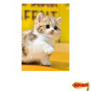 【マラソン最大46倍】エポック社 108ピース ジグソーパズル いきもの/ペット ねこ お手 (18.2×25.7cm) 01-067 のり付き ヘラ付き 点数券付き