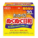 【マラソン最大45.5倍】ホッカイロ ぬくぬく日和 貼らない レギュラー 30個入