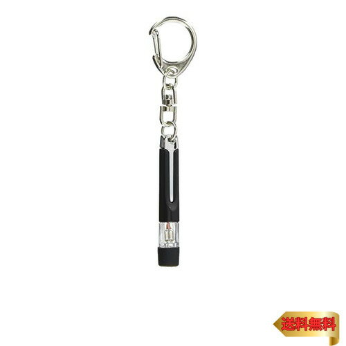 【マラソン最大46倍】カーメイト(CARMATE) 車用 キーホルダー レジテック 静電気除去メッキ DZ461