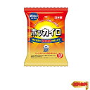 【マラソン最大46倍】ホッカイロ 貼らない レギュラー 10個入
