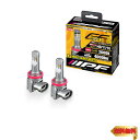 【マラソン最大46倍】IPF ヘッドライト フォグランプ LED 車用 H8 H11 H16 4000lm 2600K イエロー 12V用 2本入 車検対応 ド...