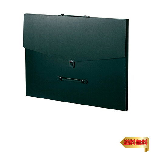 セキセイ ドキュメントファイル アルタートケース フラット B2 ブラック ART-1003-60