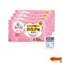 桐灰カイロ 【まとめ買い】 桐灰 (きりばい) 命の母 カイロ じんわり温かい おなか用 カイロ 衣類に貼るカイロ 10個入 小林製薬 ×4個