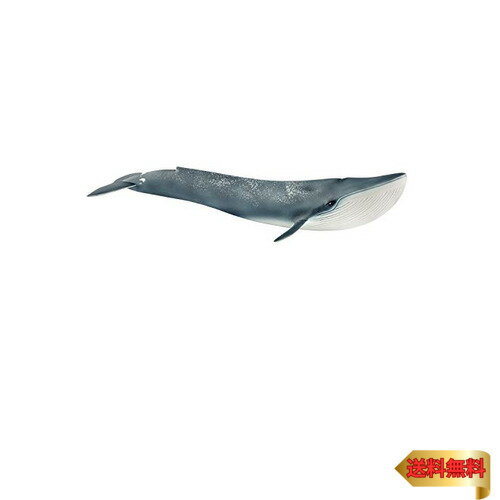 シュライヒ(Schleich) ワイルドライフ シロナガスクジラ フィギュア 14806