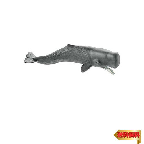 シュライヒ ワイルドライフ マッコウクジラ フィギュア 14764
