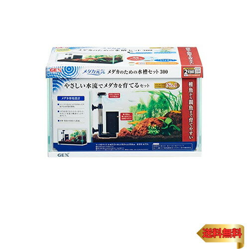 ジェックス GEX メダカ元気 メダカのための水槽セット300 メダカ専用設計 産卵・稚魚育成