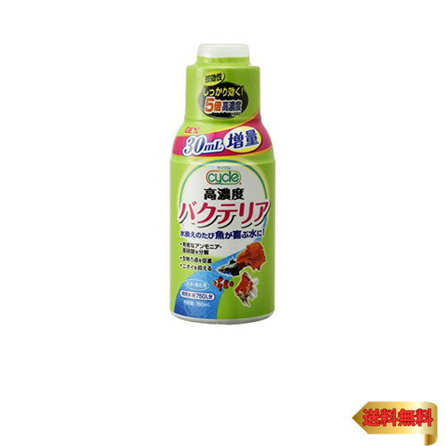 饵󥿤㤨֥å GEX  150mL ַϤݻ뤿  750LʬפβǤʤ845ߤˤʤޤ