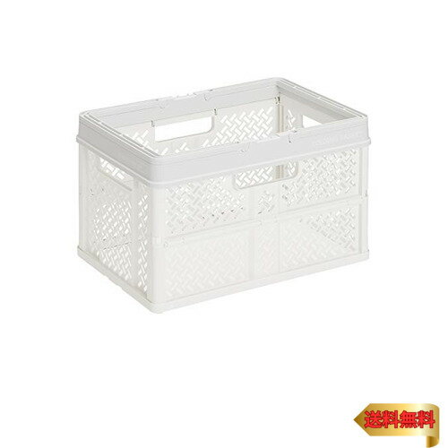 天馬(Tenma) 折りたたんでコンパクトになる持ち手付きの収納ボックス 完成品 折りたたみバスケット Lサ..