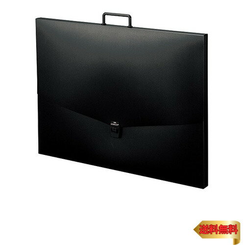 セキセイ ドキュメントファイル アルタートケース A2 ブラック ART-900