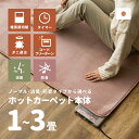 【日本製】ホットカーペット本体 消臭タイプ 【3畳用】195×235cm（あったか 電気カーペット 電気マット ホットマット あったかラグマット 暖房 暖かい 温かい 省エネ 季節家電 秋冬用）