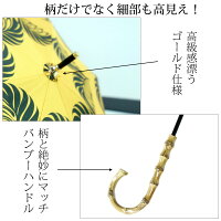 晴雨兼用晴雨兼用晴雨兼用晴雨兼用晴雨兼用晴雨兼用晴雨兼用晴雨兼用晴雨兼用晴雨兼用晴雨兼用晴雨兼用晴雨兼用晴雨兼用晴雨兼用晴雨兼用晴雨兼用晴雨兼用晴雨兼用晴雨兼用晴雨兼用晴雨兼用晴雨兼用晴雨兼用晴雨兼用晴雨兼用晴雨兼用