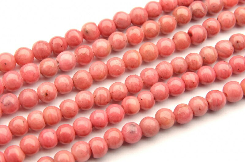 楽天市場】シリシャスシストの通販