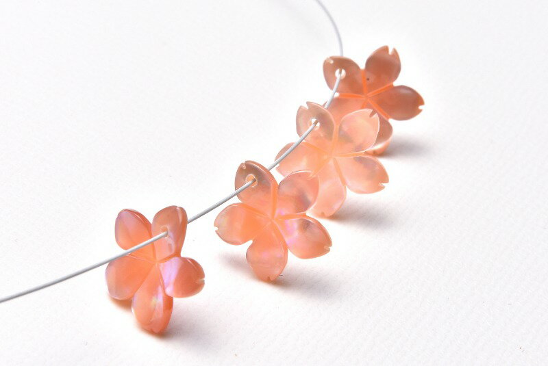 ピンクシェル　桜　11x11x2mm　粒売り バラ売り アクセサリー _T438
