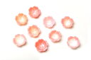 桜 クイーンコンクシェル 10x3mm 3粒セット 粒売り アクセサリー _T494