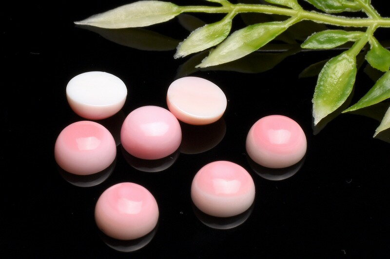 クイーンコンクシェル　8mm　ドーム型 天然石 パワーストーン ルース 3粒セット アクセサリー _T608