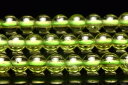 ミャンマー産 ペリドット(橄欖石) 4mm 天然石 パワーストーン 1連(約38cm)ビーズ ハンドメイド _RG626-4