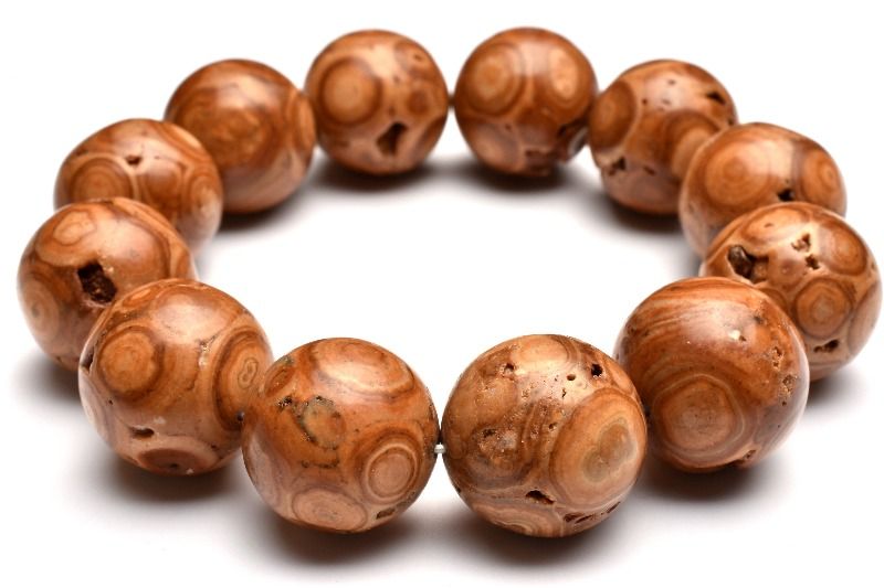 楽天市場】龍宮舎利の通販