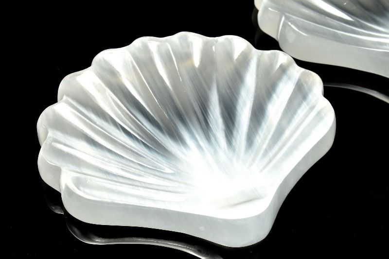 浄化力抜群！ セレナイト(透石膏) 102x93x12-14mm シェル 置物 1個売り ...