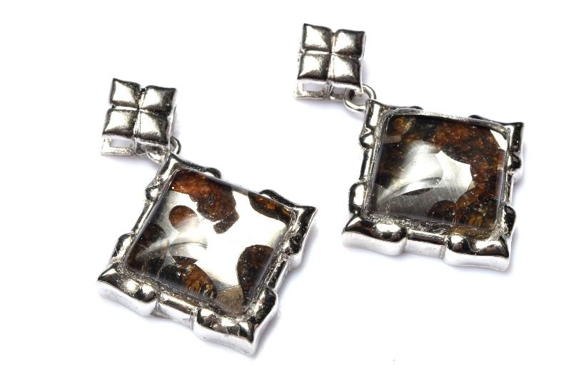 材質パラサイト隕石 12x12mm 産地：ロシアサイズ約12x12mm重さ約3.9-4.1g特徴・意味宇宙の神秘を宿すパラサイト隕石をあしらったペンダントトップ、個性と洗練が耳元で静かに際立つ上品なアイテムです。この隕石は鉄隕石と石質隕石の中間にあたり、星のマントル部分が隕石として落下したと思われるもので、石鉄隕石に分類されます。鉄やニッケルの合金とケイ酸塩鉱物からなっていて、中でも合金の中にケイ酸塩鉱物の一つであるかんらん石（ペリドット）がまじっているもので、パラサイトと呼びます。鉄とニッケルが混ざった合金の間を縫うようにかんらん石（ペリドット）が存在しています。隕石の中でも特に珍しく、地球に落下する僅かな隕石の全ての中の1〜2％という希少な隕石です。通常質量の高い鉄と低い石が混じることは考えにくいのですが、低重力で出来たことでこのステンドグラスのように綺麗に混じり合ったのだと考えられています。地球上の石に、このような組み合わせはない、貴重で美しい隕石です。PT::0000-N.A004006k