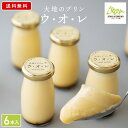 お菓子 スイーツ【公式】フェルムラテール美瑛 「ウ・オ・レ」 6個入 ラ・テール洋菓子店 瓶入り おしゃれ ギフト 北海道 無添加 ジャージー牛乳 平飼い卵 バニラ オーガニックシュガー プリン スイーツ 2024