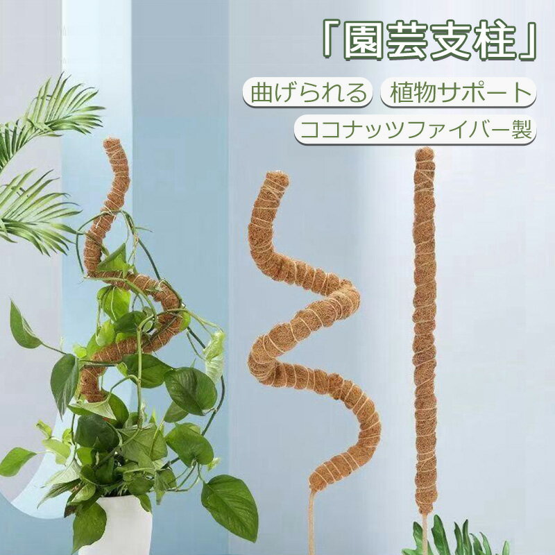 【特典付き】植物 支柱 おしゃれ 観葉植物 ココ スティック 園芸支柱 ヘゴ モンステラ ガーデニング 植..