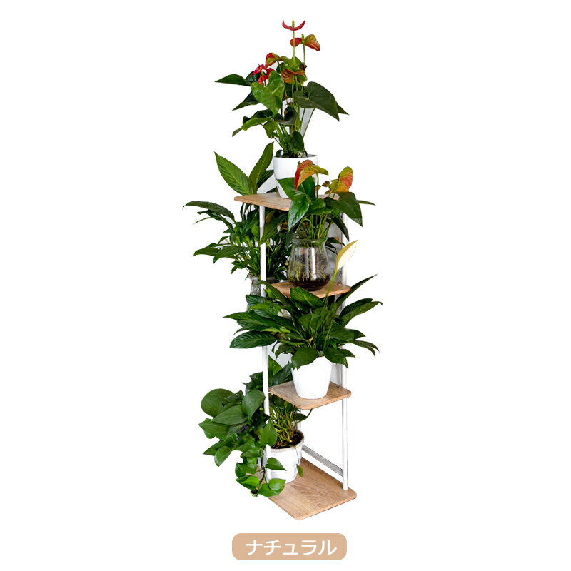 フラワースタンド 室内 5段 プランタースタンド 植木鉢 アイアン ポットスタンド ガーデンラック 5段 ガーデニング おしゃれ 玄関前