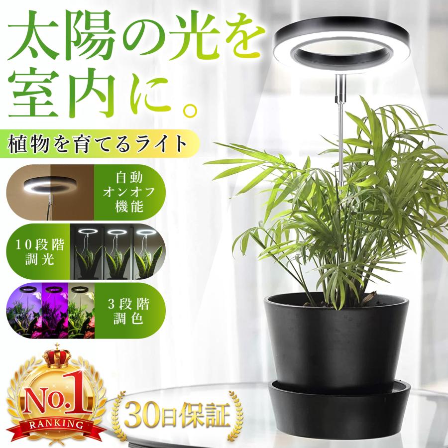 Rakuten - 植物育成ライト LED スタンド タイマー 室内栽培 観葉植物 多肉植物 10段階調光 天使の輪 3段階調色
