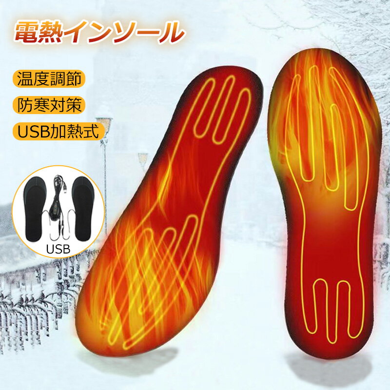 ♪♪特典あり♪♪電熱インソール 中敷き 1足セット ヒートインソール USB加熱式 温度調節 タイマー機能 2サイズ 足元暖める 防寒対策 冬用 電熱 防寒具