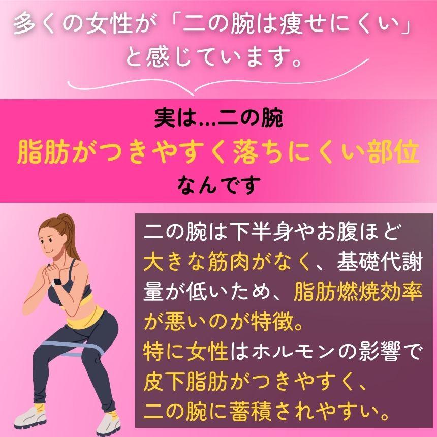 二の腕 トレーニング ダイエット器具 筋トレ 二の腕痩せ ダイエット 前腕 手首 腕 女性 痩せ トレーナー スワンアーム 肩 姿勢 副乳 脇肉 スリム エクササイズ 3