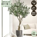 【メーカー直送】 フェイクグリーン オリーブ ポット付き 198cm 大型 高級 室内 人工観葉植物 屋外不可 acs