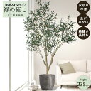 【メーカー直送】 フェイクグリーン オリーブ ポット付き 235cm 大型 高級 室内 人工観葉植物 屋外不可 acs
