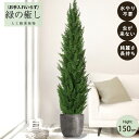 【メーカー直送】 フェイクグリーン サイプレスポット 150cm 中大型 高級 室内 人工観葉植物 送料無料 屋外不可 acs