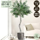 【メーカー直送】 フェイクグリーン スマイラックスツリー ポット付き 170cm 大型 高級 室内 人工観葉植物 屋外不可 acs