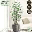 【メーカー直送】 フェイクグリーン ドウダン ポット付き 153cm 中大型 高級 室内 人工観葉植物 送料無料 屋外不可 acs