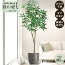 【メーカー直送】 フェイクグリーン パキラ ポット付き 185cm 大型 高級 室内 人工観葉植物 屋外不可 acs