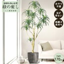 【メーカー直送】 フェイクグリーン ユッカツリー ポット付き 170cm 大型 高級 室内 人工観葉植物 屋外不可 acs