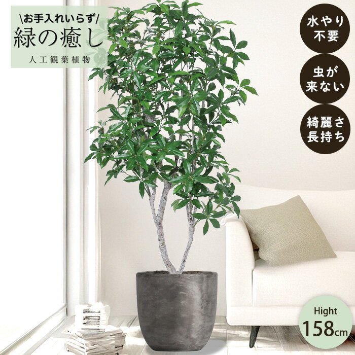 【メーカー直送】 フェイクグリーン ローレルツリー ポット付き 158cm 中大型 高級 室内 人工観葉植物 送料無料 屋外不可 acs