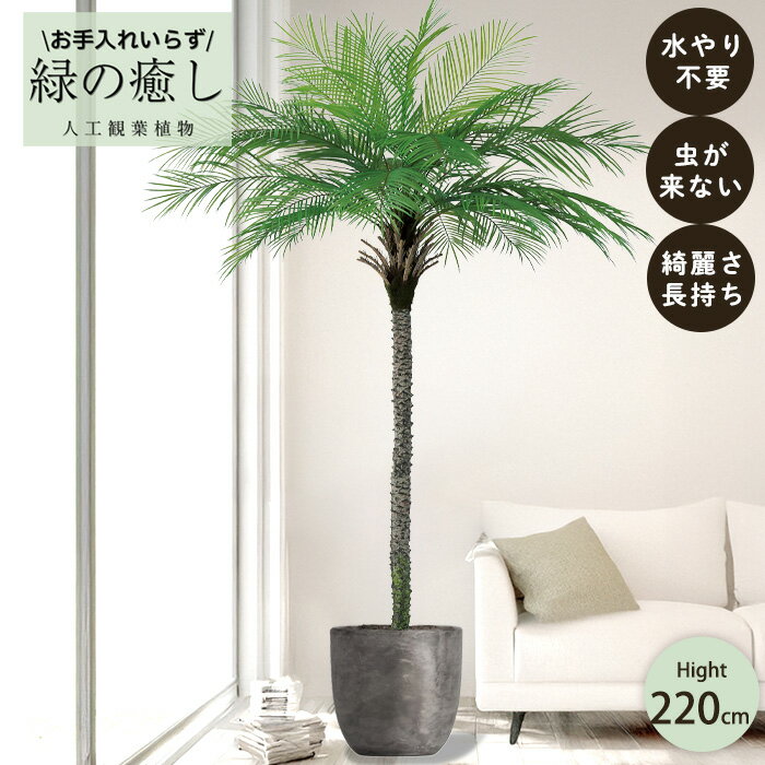 商品説明 南国の風を感じさせる優雅な葉姿が魅力のパームのフェイクグリーン。 しなやかに広がる大きな葉やリアルな質感を丁寧に再現し、まるで本物のような存在感で空間にリゾートのような癒やしをもたらします。 ナチュラル・アジアン・モダンなど、さまざまなインテリアにマッチし、リビングやオフィス、店舗のアクセントとしてもおすすめ。 水やり不要・虫もつかず、お手入れの手間がかからないので、忙しい方でも気軽に取り入れられます。 ポット付きでそのまま飾れるのも嬉しいポイント。鉢カバーを合わせて自分好みにアレンジすれば、よりスタイリッシュな空間に仕上がります。 ご自宅はもちろん、オフィスや店舗のインテリアグリーンとしても活躍する一品です。 存在感のあるグリーンを取り入れたい方にぴったりのアイテムです。 フェイクグリーンの魅力 人工観葉植物は、日々の忙しさの中でも手軽に緑を楽しめます。 ●お手入れ不要で長持ち: 水やりや肥料は一切不要。枯れる心配もなく、美しい状態を長く保てます。 ●衛生的で安心: 虫が寄り付かないため衛生的で、植物アレルギーをお持ちの方や、ペット・小さなお子様がいらっしゃるご家庭でも安心してお飾りいただけます。 ●自由なレイアウト: 日当たりの心配がなく、暗い場所でも設置可能です。オフィスや店舗、病院など、あらゆる空間のインテリアとしてご活用いただけます。 ●フォルム調整可能: 枝葉にはワイヤーが入っているため、お好みに合わせてフォルムを調整し、理想のスタイルに仕上げることができます。（対象商品に限ります） お手入れ 普段のホコリは柔らかい布やハタキなどでやさしくお手入れしてください。しつこい汚れは固く絞った濡れタオルで拭き取れます。変色や変形の原因となるため、中性洗剤の使用や、暖房器具のそばへの設置、屋外での使用は避けてください。 ※組み立てについて（対象商品に限ります）: 組立式の商品は、幹や枝を広げて仕上げることで、より自然な雰囲気を演出できます。枝の曲げ方によっては、表皮にわずかな裂けが見られる場合がありますが、製品の特性としてご理解ください。 こんな方におすすめ ●自然な雰囲気を手軽に室内に取り入れたい方 ●日当たりが悪い場所にも緑を置きたい方 ●手間なくおしゃれなインテリアを楽しみたい方 ●新築祝い、開業・開店祝い、店舗ディスプレイなど、ギフトや空間演出をお探しの方 サイズ・その他 ◇商品：高さ約220cm×幅約160cm ◇ポットサイズ：:高さ約25cm×直径28cm ※画像はイメージです。 ※メーカー直送品のため、フェイクグリーン以外の商品と同梱できません。一緒のお買い物カゴにてご注文された場合は、自動キャンセルとなります。 ※枝葉の広げ方や角度によって印象が変化します。 ※付属のポットには製造工程で生じるすり傷が見られる場合がありますが、ご使用には問題ございません。 ※商品の性質上、配送中に葉や花が接続部分から外れることがあります。もし外れていたら、接続部分にはめ直してご使用ください。（配送中に葉や花が接続部分から外れていても返品や交換の対象にはなりません。） ※本製品は室内専用です。雨風や強い日差しにさらされると、色あせや劣化の原因となることがあります。屋外でのご使用はお控えください。 ※暖房器具の近くや直射日光が強く当たる場所では、変形や劣化、火災の危険があるため高温になる場所での管理は避けてください。 ※本製品は人工素材でできておりますので、誤って水や肥料を与えないでください。 ※葉や枝を無理に持つと破損やけがの原因になりますので、優しくお取り扱いください。 ※思わぬ事故や破損につながる可能性がございますので、用途を守ってご使用ください。 ※モニターの発色の具合によって実際のものと色が異なる場合がございます。 おすすめポイント ≪空間を格上げするおしゃれなフェイクグリーン≫ 本物の質感にこだわったリアルな人工観葉植物。枝葉のディテールや幹のラインまで丁寧に再現。 「レイテストプランツ」こだわりのフェイクグリーンは、ホテルロビーやカーディーラー店舗、ショールーム、商業施設の空間演出のプロにも選ばれる上質インテリアグリーンです。緑が映えるだけでなく、空間の雰囲気そのものをワンランク上のデザインに引き上げます。虫がつかず水やり不要なので、手軽にボタニカルな癒し空間を叶えます。 ≪多彩な設置場所と利用シーン≫ フェイクグリーンは、オフィスや店舗、ショールーム、ホテル、レストラン、カフェ、バーなどの商業施設をはじめ、自宅のリビングや玄関、寝室、書斎などの室内インテリアとしても人気の人工観葉植物です。美容室やネイルサロン、エステサロン、フィットネスクラブ、ヨガスタジオといった美容・健康関連施設でも多く採用され、癒しと清潔感を演出します。さらに、クリニック待合室や病院ロビー、歯科医院受付などの医療施設、公共施設のロビーや銀行待合室、空港ラウンジ、駅ナカ商業施設、ショッピングセンターの休憩スペース、カーディーラーショールームなど、幅広い商業・公共空間で設置が進んでいます。 住宅展示場やモデルハウス、マンションロビー、住宅のベランダやバルコニー、玄関ホール、トイレ（サニタリールーム）にもフェイクグリーンは最適です。セミナールームや会議室、コワーキングスペースなどのオフィス環境にも、緑の癒しと空間改善効果をもたらします。 ≪多様なインテリアに自然にマッチ≫ 南国リゾート風をはじめ、ジャンクスタイル、ナチュラルスタイル、北欧風、アジアンテイスト、和モダン、ミニマリスト、シンプルモダン、ボタニカル、カリフォルニアスタイル、モダンインダストリアル、ブルックリンスタイル、カントリーテイスト、ヴィンテージ、エレガント、フェミニン、モダンクラシックなど、幅広い人気のインテリアテイストに馴染むフェイクグリーン。どんな空間にも自然に調和し、ワンランク上のハイセンスなグリーンインテリアとして、リビングや寝室、玄関、オフィス、店舗空間を美しく彩ります。 ≪お祝い・ギフトにも≫ また、ブライダルサロンや結婚式場控室、葬祭場ロビー、シニアホーム共有スペース、保育園玄関、動物病院、ペットショップ、フラワーショップなど、多彩な用途やシーンで利用されており、開店祝い・開業祝い・移転祝い・新築祝い・結婚祝い・引越し祝いなどの贈答シーンでも大人気です。枯れずに長く飾れるので、贈り物としても重宝されています。 ≪レイテストプランツセレクトの上質フェイクグリーン≫ 細部までこだわった高品質なフェイクグリーン。「レイテストプランツ」の製品は、造花とは思えない本物感と存在感で、インテリアや店舗装飾、法人ギフトにも最適です。毛バタキなどで軽くお手入れするだけで、美しい緑を長く楽しめます。 ≪フェイクグリーンで室内緑化をもっと身近に≫ このように、フェイクグリーンは清潔でメンテナンスフリーな人工観葉植物として、商業施設から住宅まであらゆる空間をおしゃれに彩り、癒しのボタニカルライフを叶えます。手間なく本物感を楽しめる人工観葉植物で、おしゃれな空間演出と癒しの両立を叶えませんか？